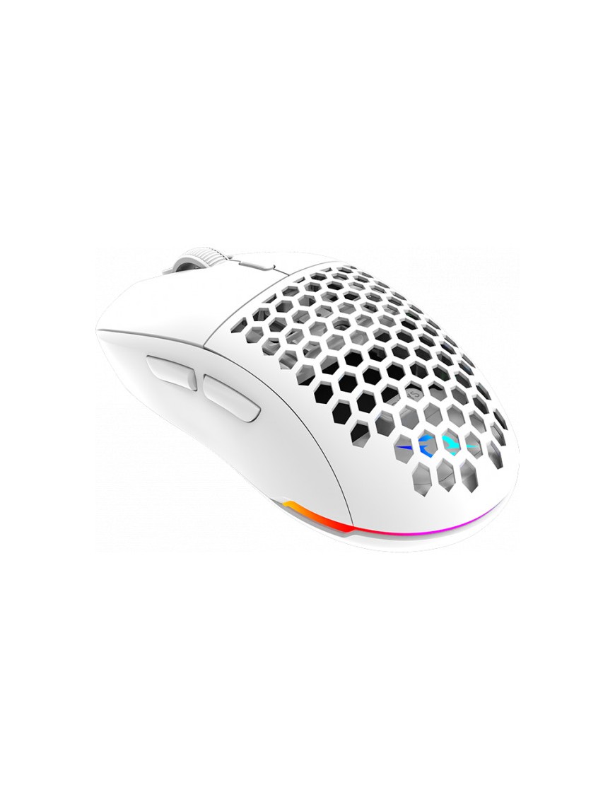 Souris Gamer AQIRYS TGA ALPHA Double Mode RGB - 19000 PPP