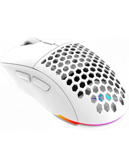 Souris Gamer, 1000 DPI Souris PC Filaire avec, 7 Modes RGB Souris Gaming  Ergonomie