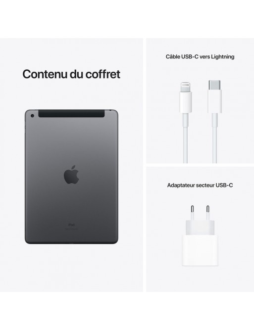 iPad Apple Wifi+Cellular, 10,2" - 4G-LTE - 256Go - Grey -tunisie-sousse