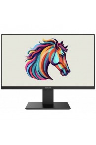 Ecran REDRAGON THUGGA II 21.5" Full HD 100HZ