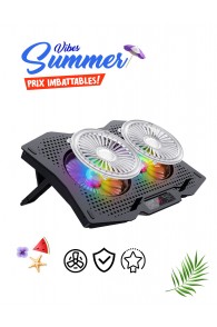 Refroidisseur HAVIT HV-F2072 Pour Pc Portable 17" - RGB